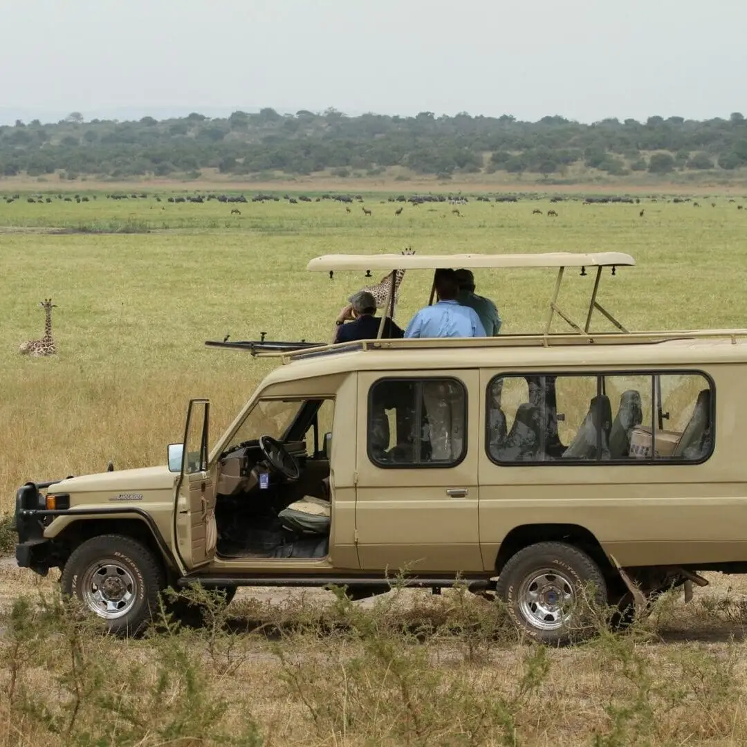 Akagera National Park Safari Guide