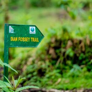 Dian Fossey Tomb