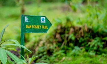 Dian Fossey Tomb hike in the Volcanoes National Park