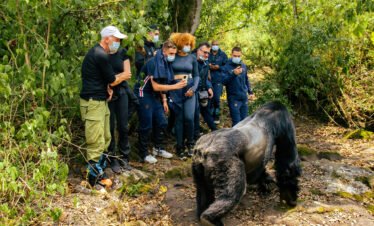 4 Day Ultra Luxury Rwanda Gorilla Safari