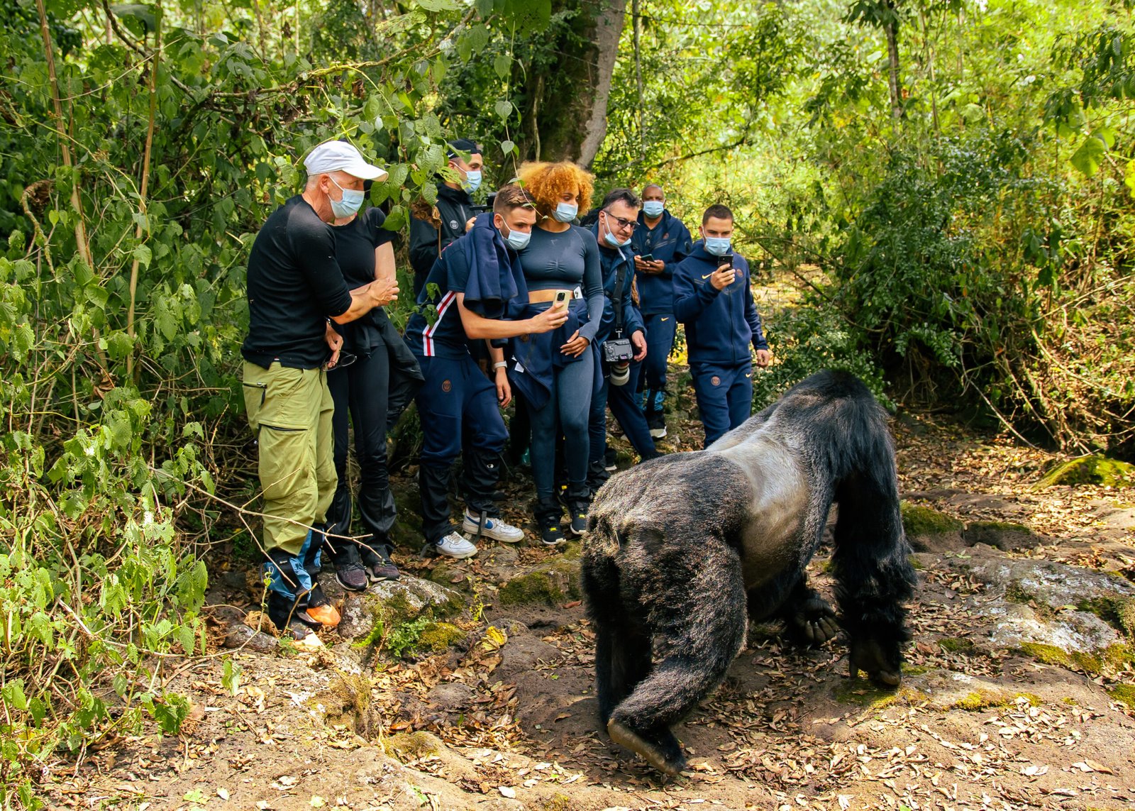 ultra luxury Rwanda Gorilla trekking