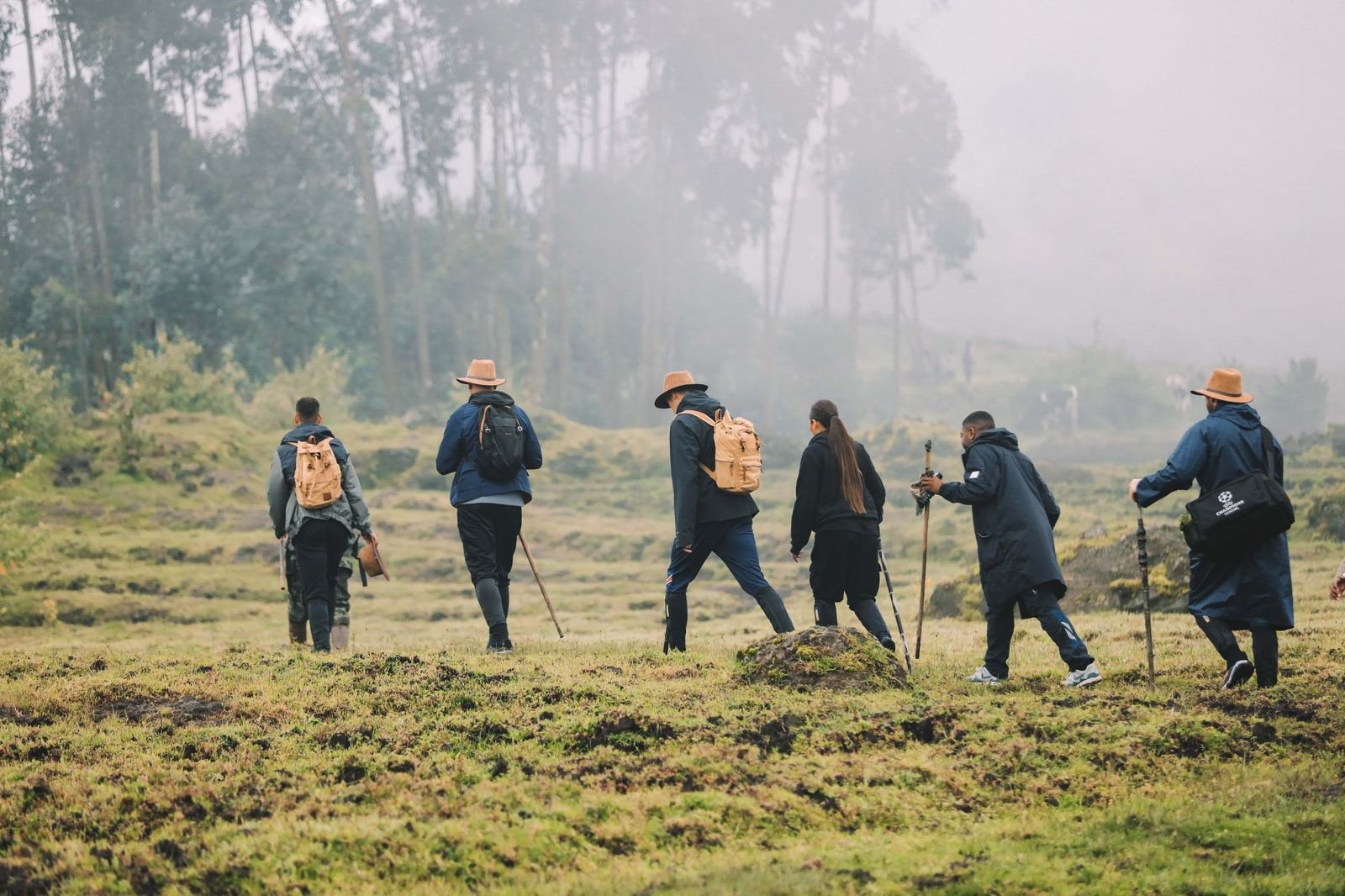 Six guests in hats and rain jackets, some with walking sticks, hiking across misty grassland toward a forest in Rwanda