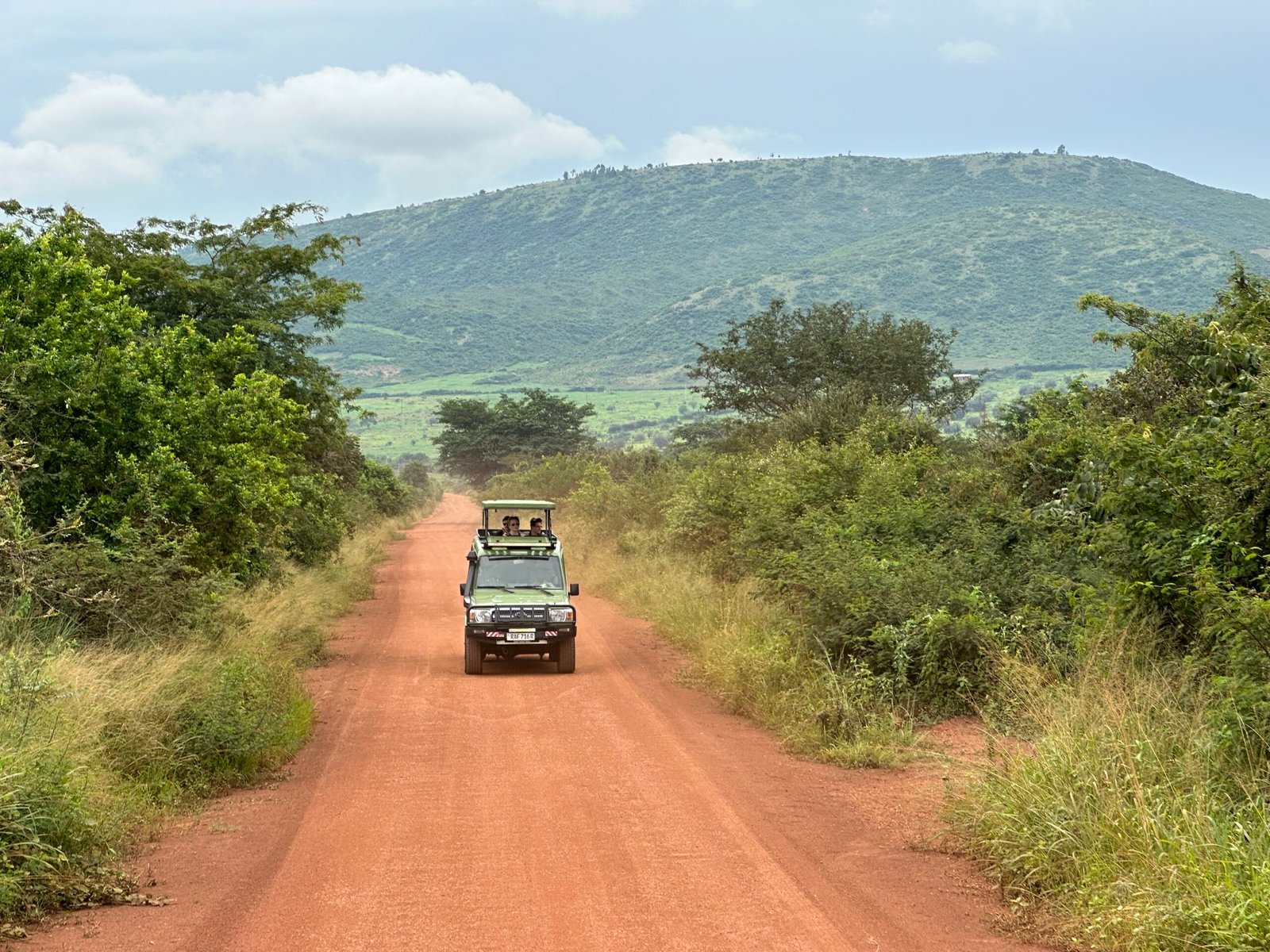Akagera National Park Safari Guide