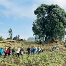 Dian Fossey Tomb Hike