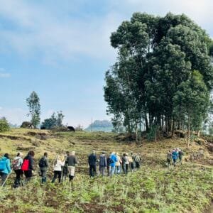 Dian Fossey Tomb Hike