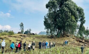 Gishwati Mukura Forest National Park