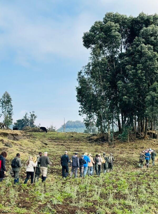Dian Fossey Tomb Hike