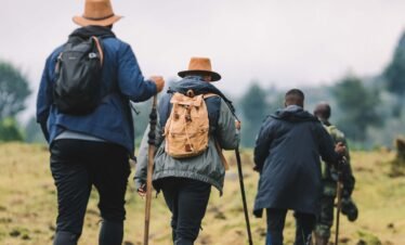 4 Day Ultra Luxury Rwanda Gorilla Safari