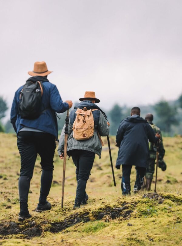 4 Day Ultra Luxury Rwanda Gorilla Safari