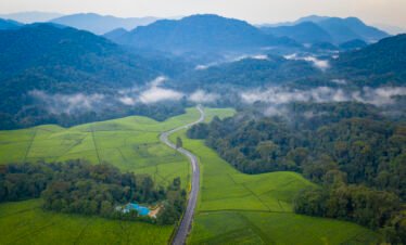 Rwanda Chimpanzee Trekking in Nyungwe