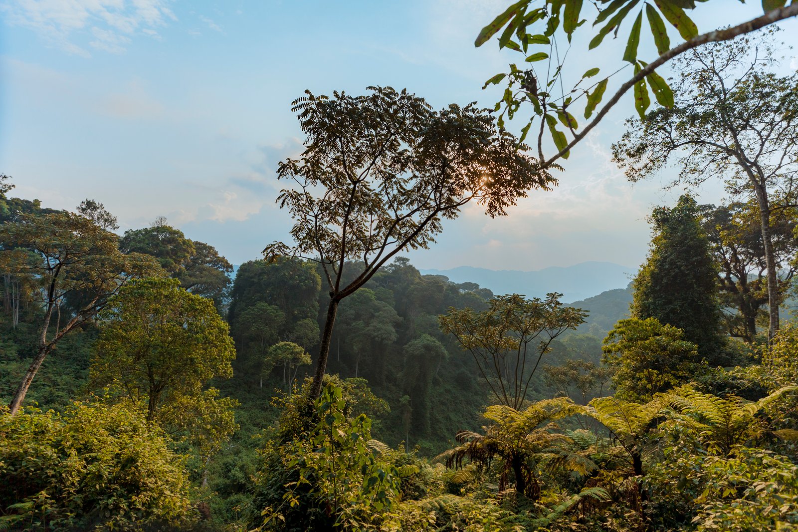 Rwanda Short Safaris