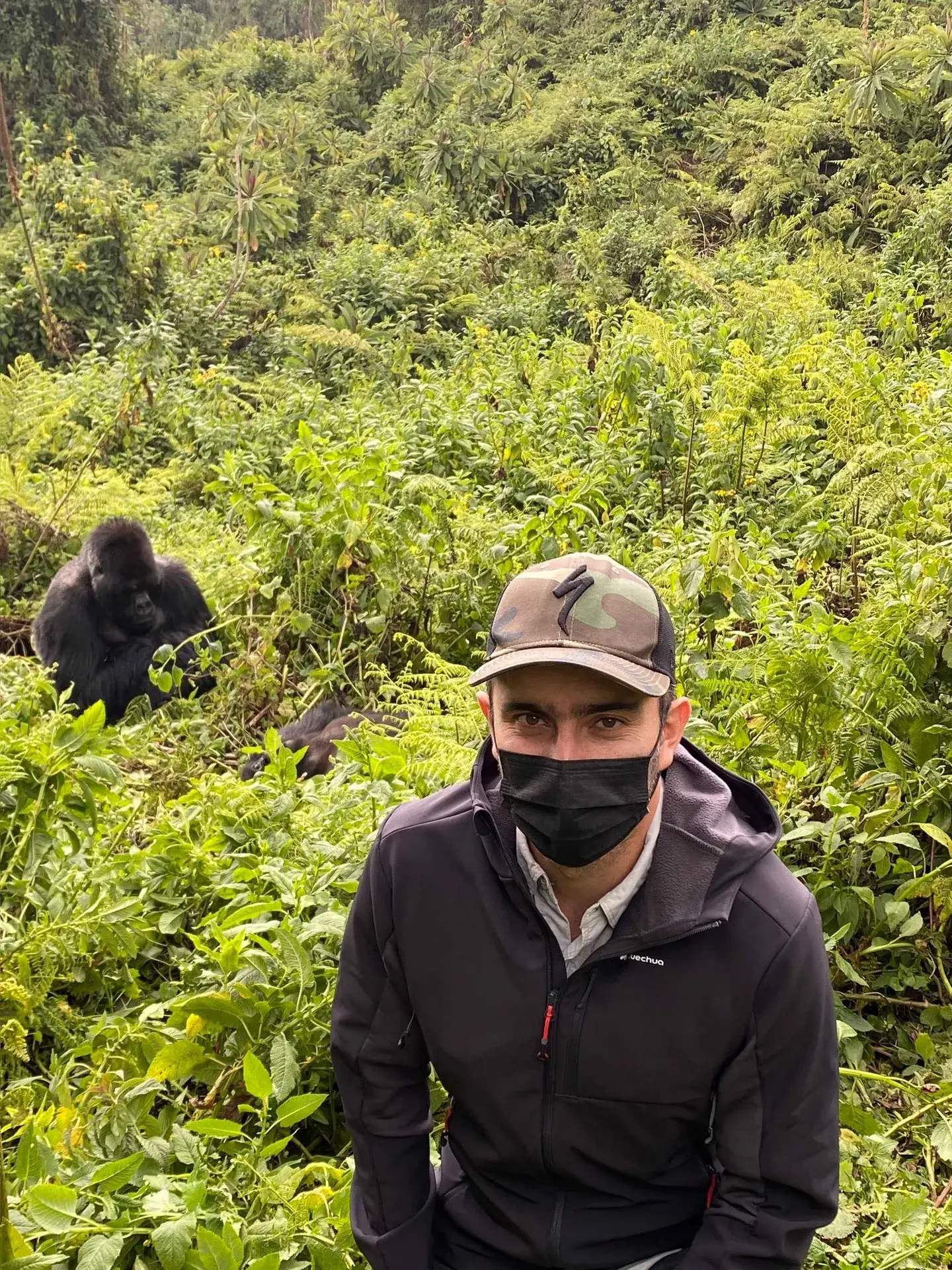 Rwanda Gorilla Tour