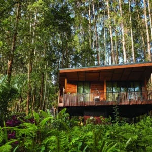 4 Day Ultra Luxury Rwanda Gorilla Safari
