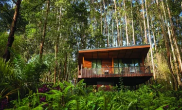 4 Day Ultra Luxury Rwanda Gorilla Safari