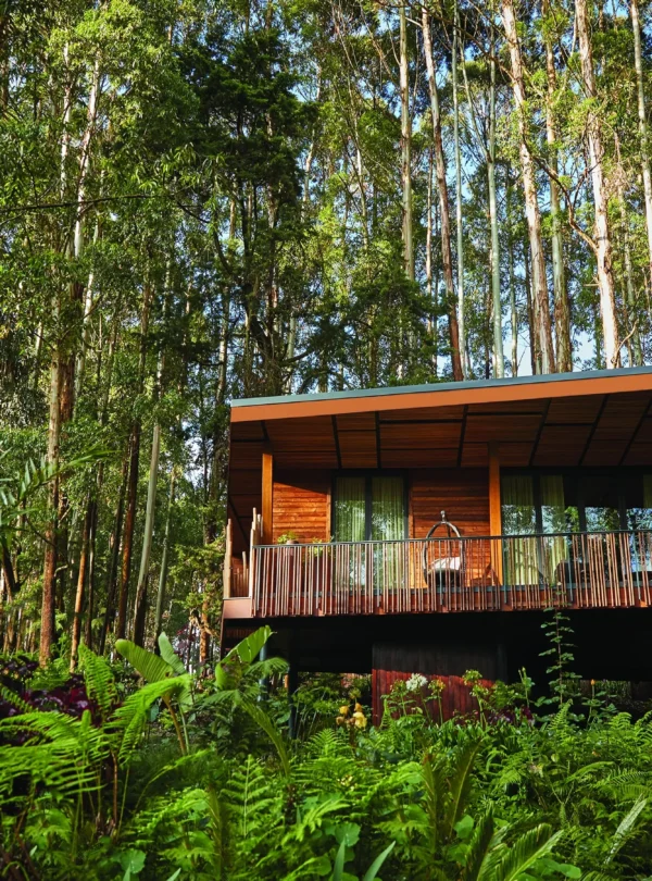 4 Day Ultra Luxury Rwanda Gorilla Safari