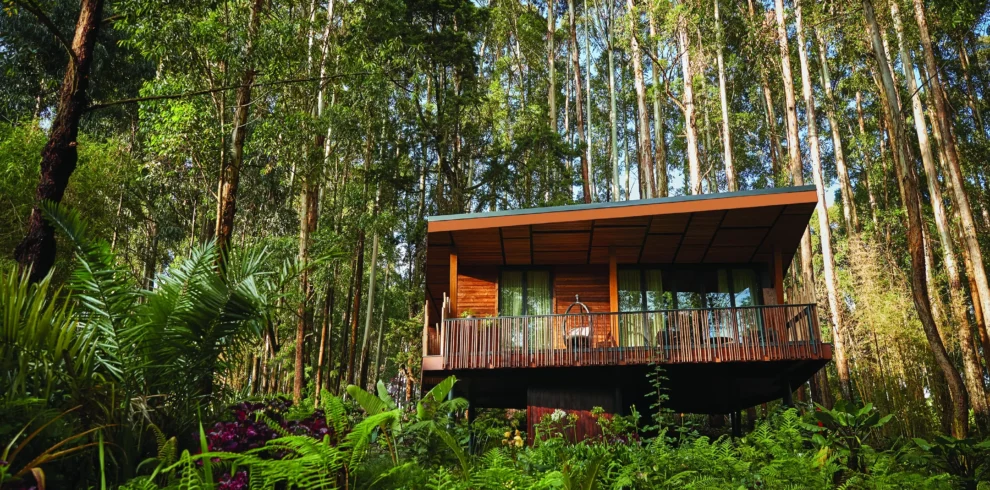 4 Day Ultra Luxury Rwanda Gorilla Safari