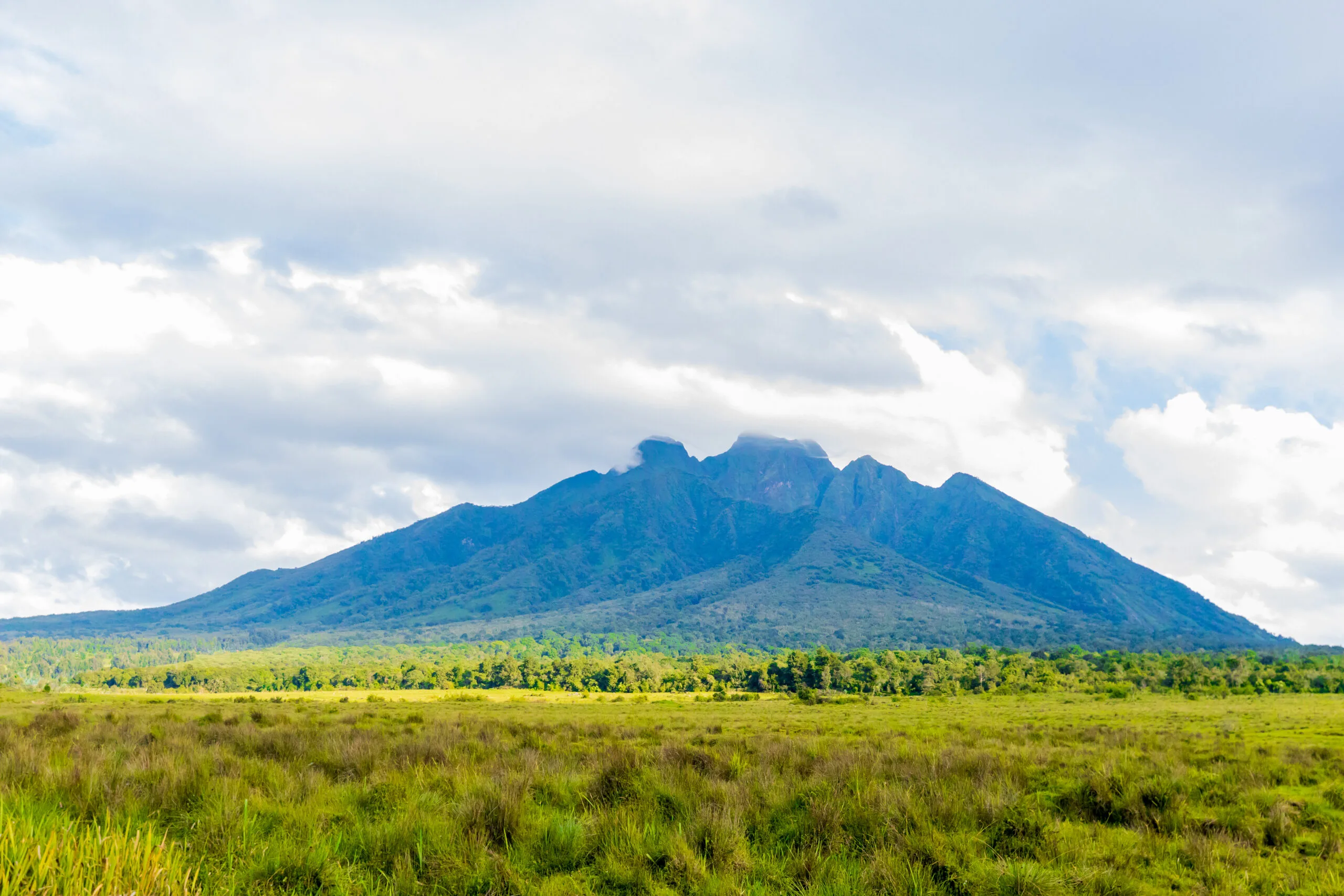 budget Rwanda safari tours
