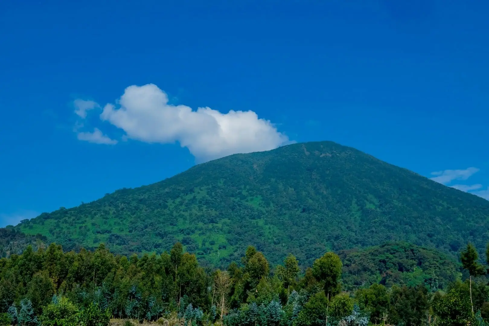 Volcanoes National Park