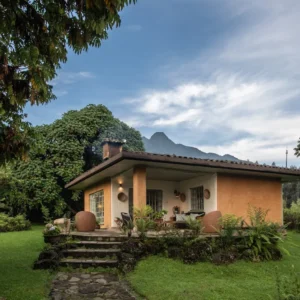 7-Day Rwanda Luxury Gorilla & Chimpanzee Safari