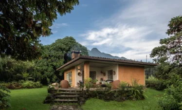 7-Day Rwanda Luxury Gorilla & Chimpanzee Safari