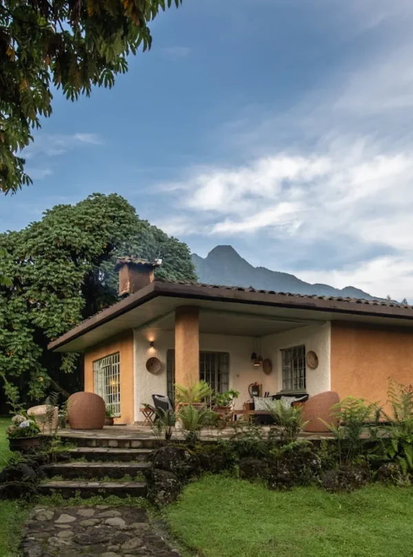 7-Day Rwanda Luxury Gorilla & Chimpanzee Safari