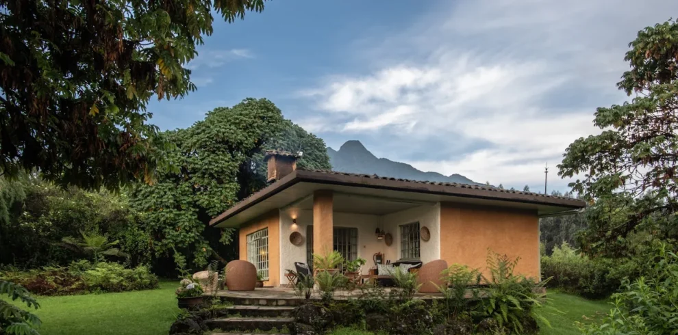 7-Day Rwanda Luxury Gorilla & Chimpanzee Safari