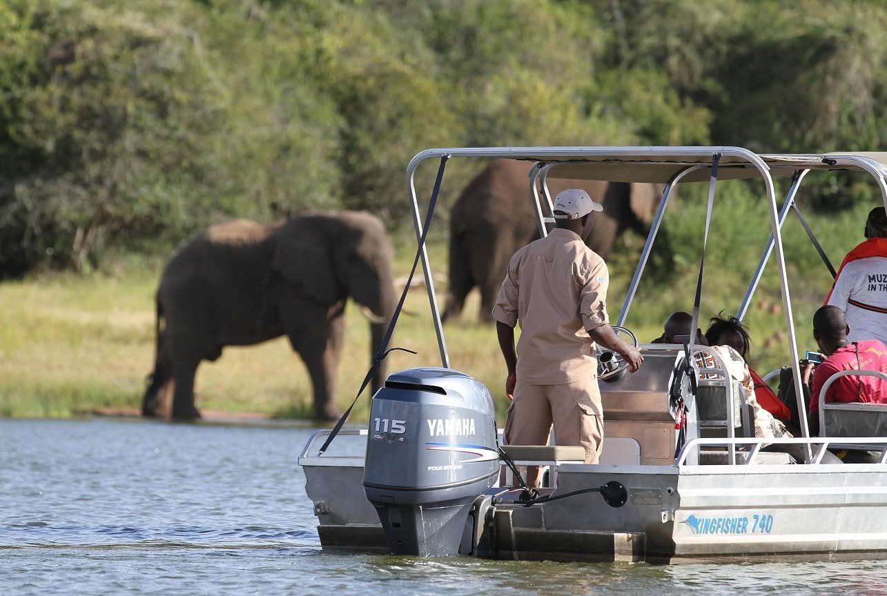 Elephants on the lakeshore seen from a tour boat on a boat safari in Akagera National Park, Rwanda