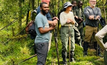 gorilla trekking Rwanda experience with mountain gorillas