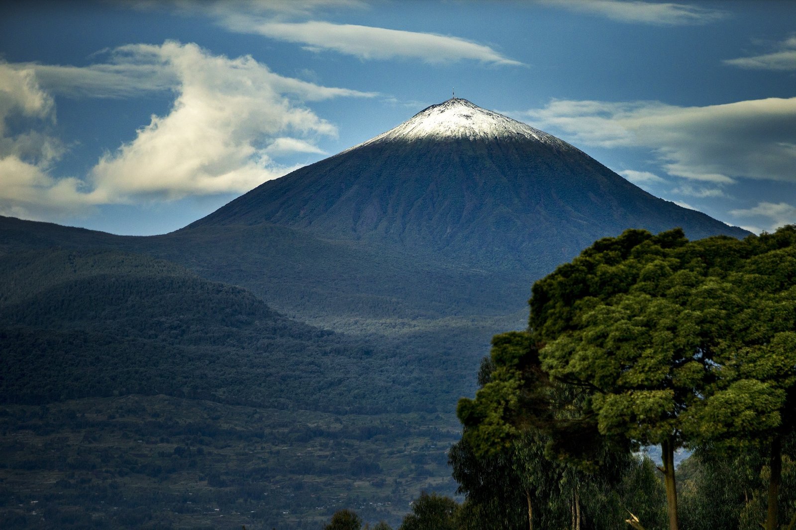Snow-capped Mount Karisimbi rising above forest in Volcanoes National Park, Rwanda