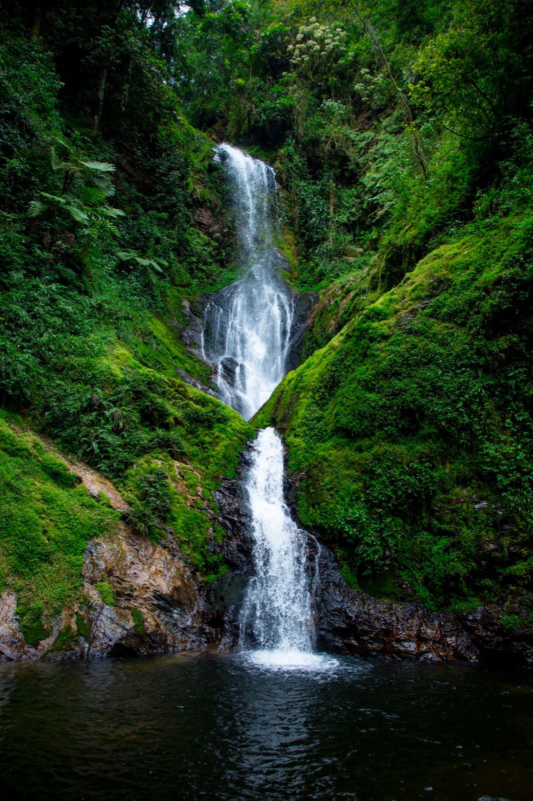 A waterfall dropping over mossy rock into a pool in the forest of Nyungwe National Park, Rwanda