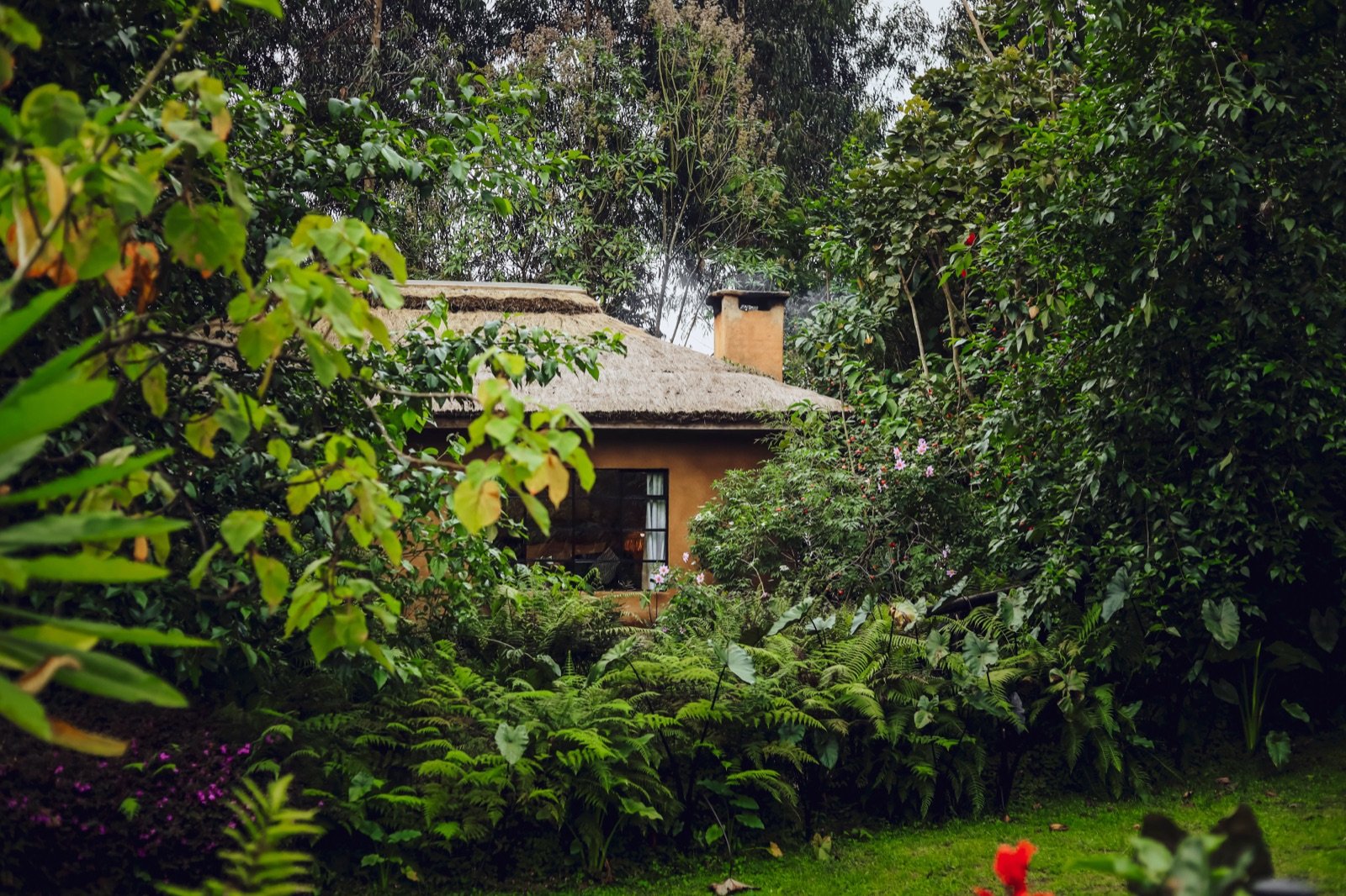 A thatched cottage with a chimney among forest trees at Sambora Kinigi